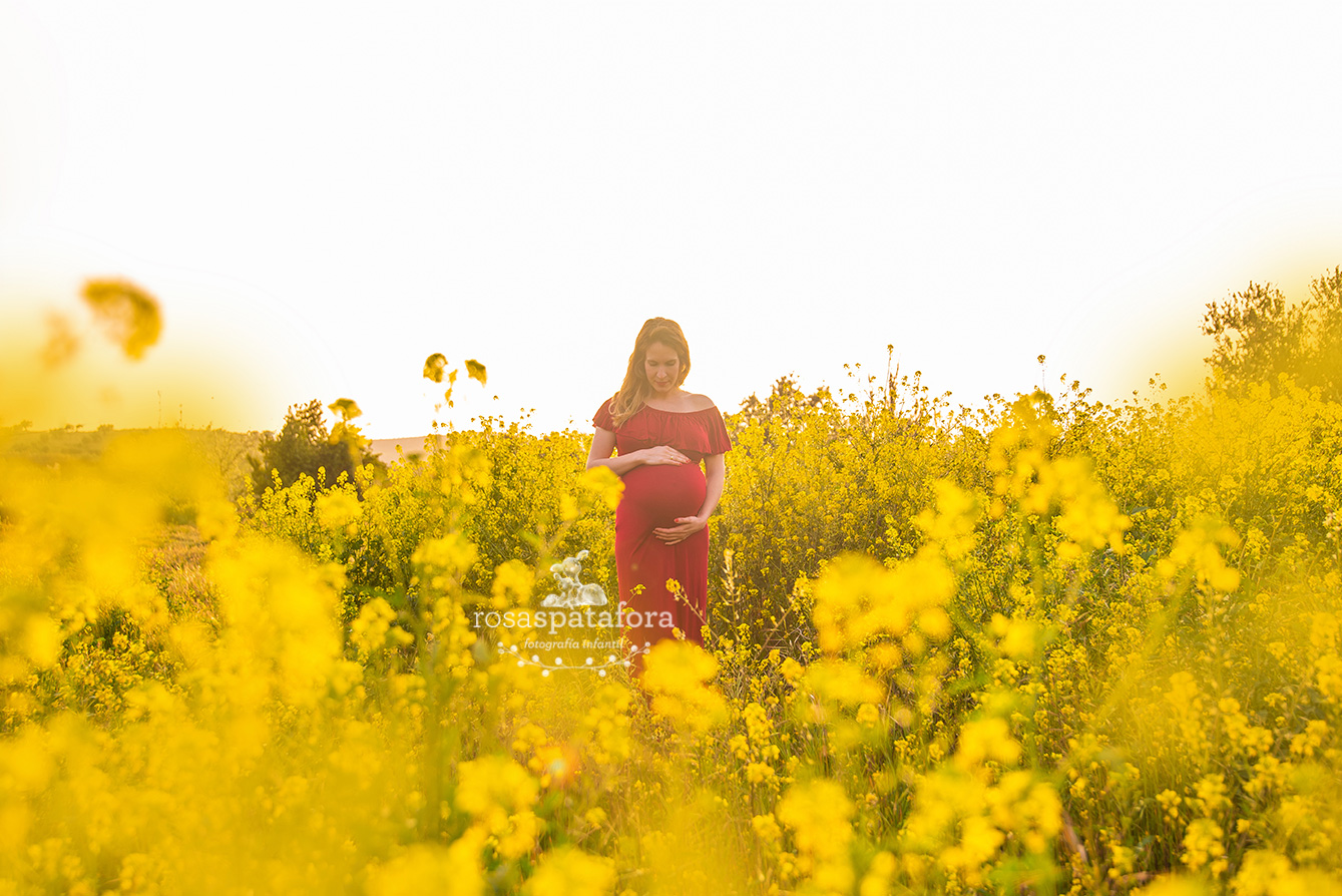 Fotógrafa de embarazadas en Granada en exteriores